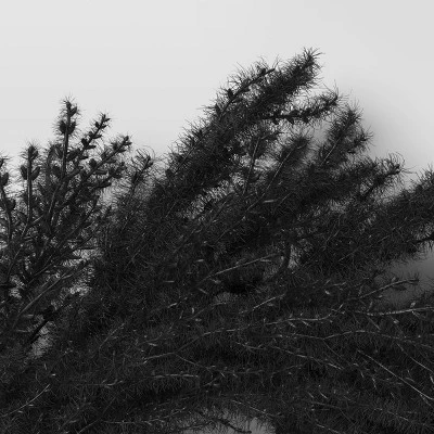 Halloween Grass Wreath Black - Threshold™ 3 Halloween Grass Wreath Black - Threshold™ - Image 3